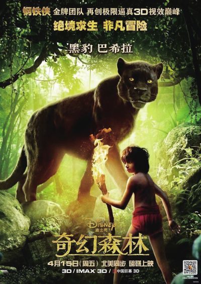 做个注册税务师证
